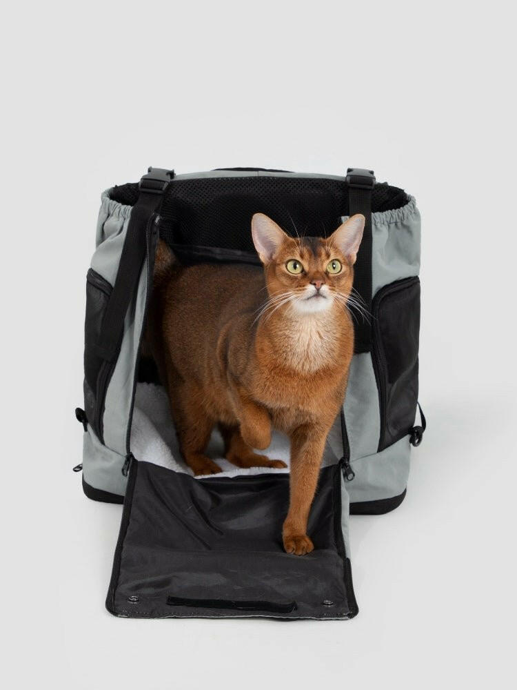 Mountain Series Front Pet Carrier – Slate Blue - Paw Charge